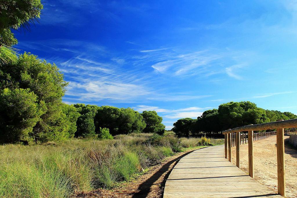 Ferienwohnung La Siesta Torrevieja Zimmer foto